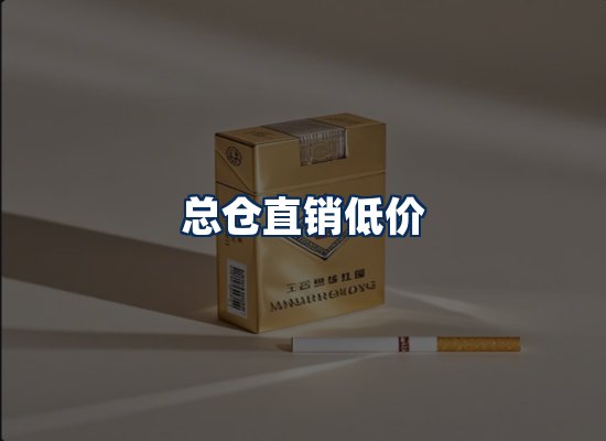 专业团队办公环境